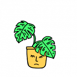 Plant GIFs - Get the best GIF on GIPHY