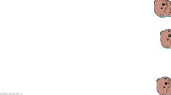 Have A Cute Transparent Momo Otter Swim Across Your Blog. Sticker GIF