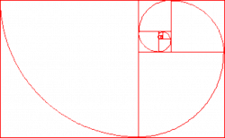 PhiMatrix-GoldenSpiral-Transparent in 2019 | Golden ratio ...