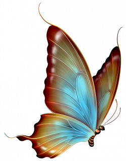 Butterfly transparent clipart - Clip Art Library