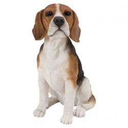 Dog PNG Images Transparent Free Download | PNGMart.com