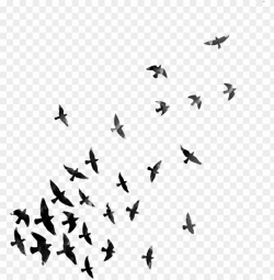 dispersion effect for picsart PNG image with transparent ...