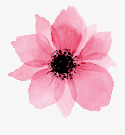 Floral Watercolor Png - Watercolor Flower Png Pink ...
