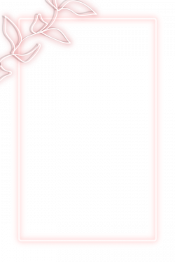 Royalty Free Rose Frame Transparent Stock Photos | rawpixel