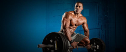 Difference between Pre-Workouts and BCAAs - Transparent Labs
