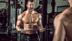 FST-7 Training System by Pro Trainer Hany Rambod ...