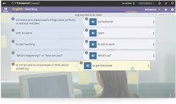 Transparent Language Online