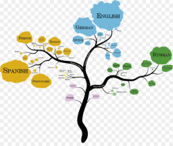 Family Tree Background png download - 983*813 - Free ...