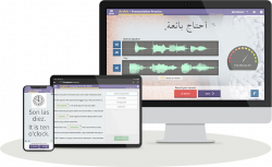 Transparent Language Online for Libraries