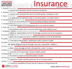 Weekend Language Booster | Zebra Insurance | Established ...