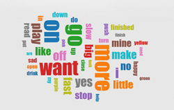 The Center for AAC & Autism | Resources & Support