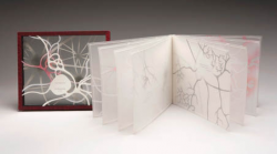 Transparent Opaque 2