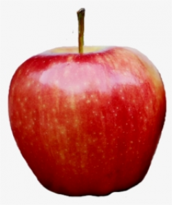 Apples PNG Images, Transparent Apples Image Download - PNGitem