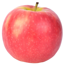 Apple Varieties - USApple