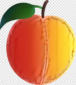 Family Tree, Winter Squash, Apple, Orange, Fruit, Leaf ...