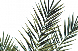 Convert JPG to PNG - Online PNG Tools