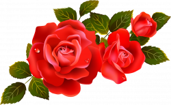 Large Red Roses Clipart Element | Gallery Yopriceville ...