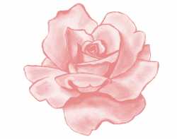 Anime flower png, Anime flower png Transparent FREE for ...