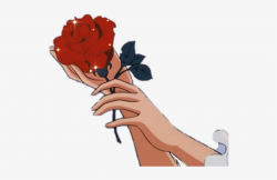 Rose Anime Aesthetic Aesthetics Redrose Red - Aesthetics ...