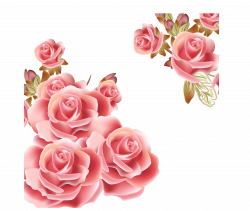 Flower Rose Pink Clip art - Vector Rose Background png ...