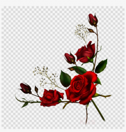 Download Roses Png Clipart Rose Clip Art Rose Flower - Red ...