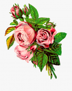 Pink Rose Clipart Png Format - Grunge Rose Png , Transparent ...
