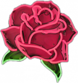 rose roses neon flower flowers