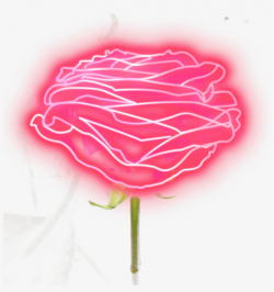 Neon Rose Png Clip Art Freeuse Library - Neon Pink Rose Png ...