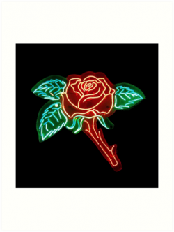 \'Neon Rose\' Art Print by Anjali Devjani