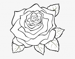 Png Rose Outline Transparent Rose Outline - Roses To Colour ...
