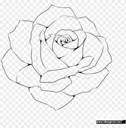 rose line drawing template - realistic rose outline drawi ...