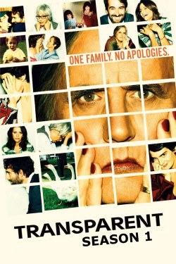 DOWNLOAD Transparent season 1 Full Episodes FREE