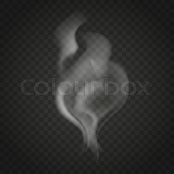 Transparent smoke waves isolated on ... | Stock vector ...