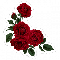 Deep Red Roses Flower Stickers