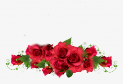 Rose Sticker - Garden Roses PNG Image | Transparent PNG Free ...