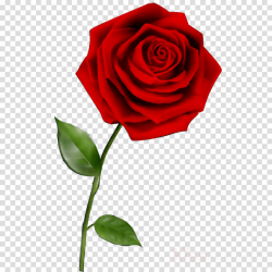 Flowers Clipart Background clipart - Sticker, Flower, Rose ...