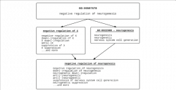Synonym download free clipart with a transparent background ...
