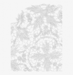 Displacement Image - Transparent Lace Texture PNG Image ...