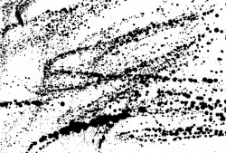 Ink Splatter Texture (PNG) | OnlyGFX.com