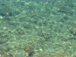 water textures - Texturelib