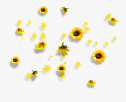 yellow #flowers #aesthetic #tumblr #falling - Aesthetic ...