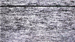 static PNG and vectors for Free Download- DLPNG.com