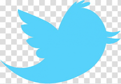 Official Twitter Bird, Twitter logo transparent background ...