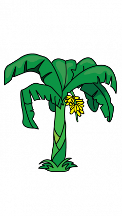 Banana tree png royalty free download - RR collections