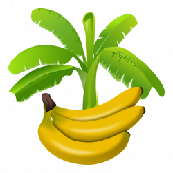 Banana bread Fruit Banana pudding Plants free commercial clipart ...