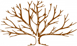 Bare tree trunk clipart collection