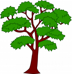 Big tree free download - RR collections