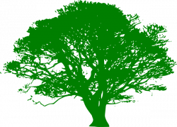 Big Green Tree Clipart