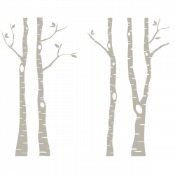 Birch tree graphic freeuse stock - RR collections