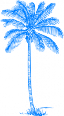 Blue Palm Tree Clipart